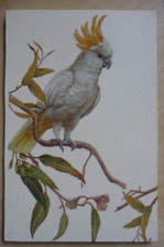 Deko HDF - Tiere Natur Vögel