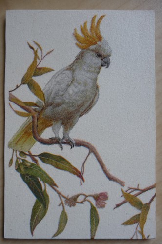 Deko hdf tiere natur - deko,