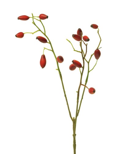 Artplants kunstzweig - artplants,