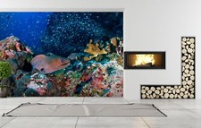 3D Meer Koralle Fische Q6970