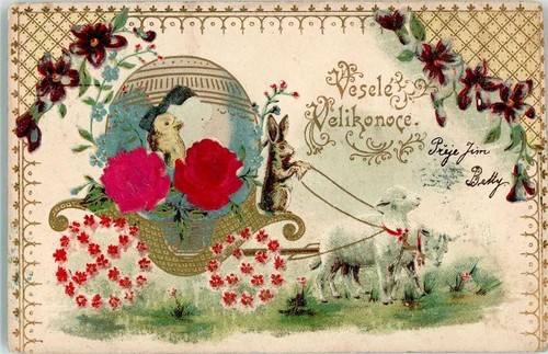 10679123 rosen mit echt - 10679123,