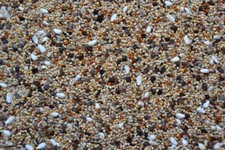 Graf Neophema / Agaporniden Futter12,5kg