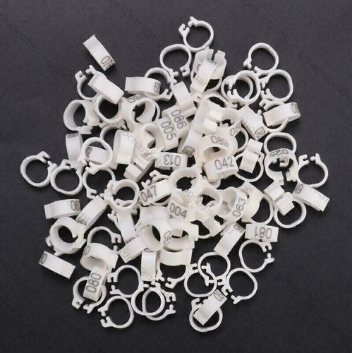 100 ring für - x, geflügel
