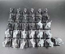 31 Skinks klassisch 90er -