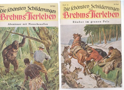 Die schönsten schilderungen - schönsten,