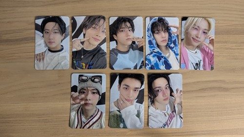 Stray kids dominate celebrate - kids,