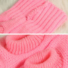 Haustier Hund Katze Warm