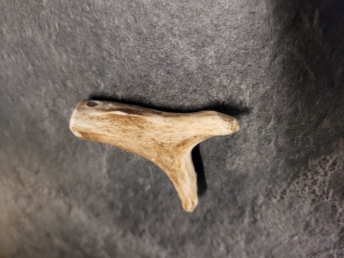 Halskettenanhänger 5cm geweih - halskettenanhänger,