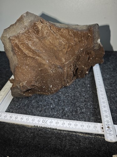 Feenholz versteinertes - feenholz,