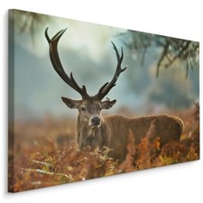 Leinwand Bild CANVAS WANDBILD