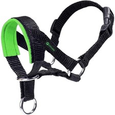 Hundehalfter, Hundehalsband