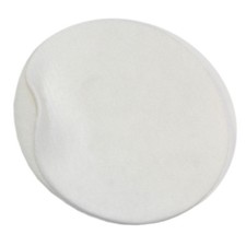 Post-Motor Filter Pad for