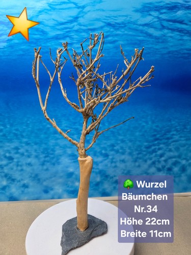 Aquarium wurzel bonsai - 🌳aquarium,