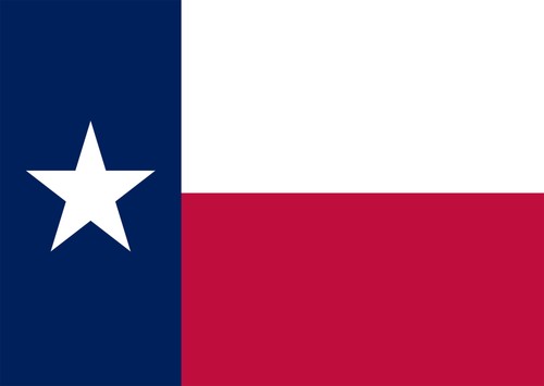 Texas-Flaggen-Wandkunst