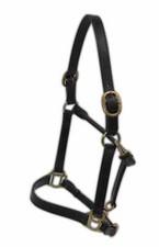 Lederhalfter, braun, Gr