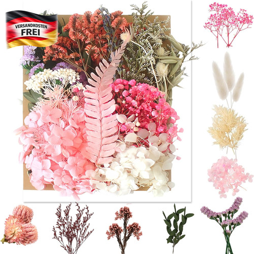Trockenblumen set für - trockenblumen,