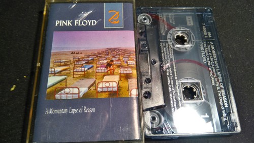 Pink floyd momentary - pink, lapse