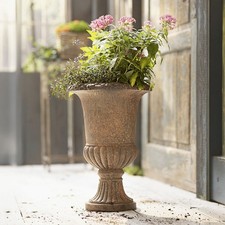 Amphore pokal blumenkübel - pokal,