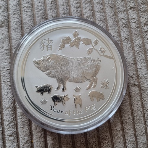 Lunar schwein 2019 - lunar,