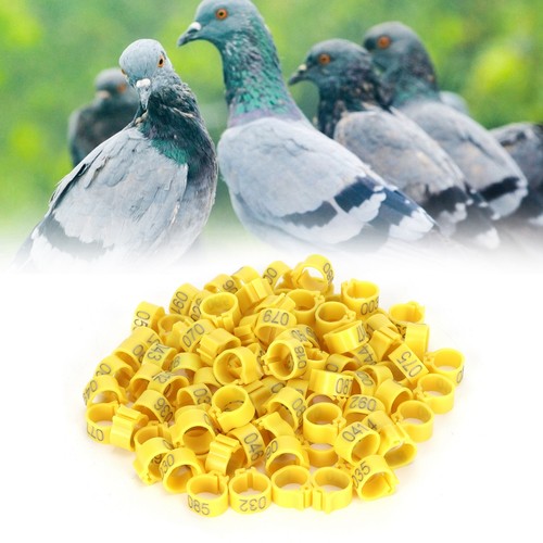 100x taubenringe 10mm - taubenringe,