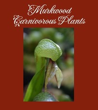 Darlingtonia californica