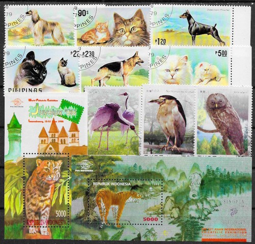 Tiere katzen vögel - ,,