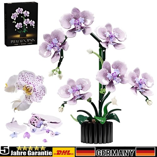 619stück orchidee blumen - 619stück,