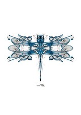 ORIGINALDRUCK - DRAGONFLY -
