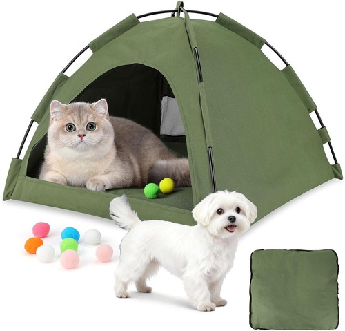 Katzen welpen teddy bis - katzen,