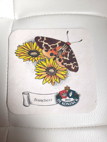 Bierdeckel viereckig - 1,