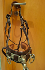 Kappzaum aus Leder mit