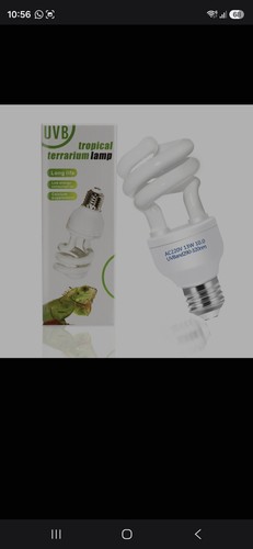 Caldarax reptilien uvb lampe - caldarax,