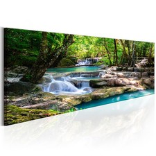 Natur Wald Landschaft Baum