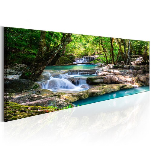 Natur wald landschaft baum - natur,