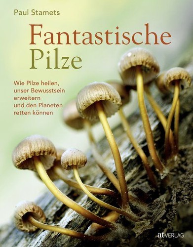 Fantastische pilze wie - fantastische,