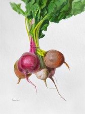 Rote Bete Bild Gemälde