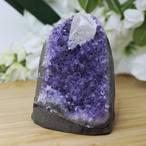 Amethyst druse geode mit - amethyst, druse/geode