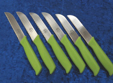 6x AMC Neu Obstmesser Gemüsemesser - Küchenmesser - Schälmesser Grün