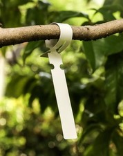 300 Stück Garten Pflanzenschilder, 21x2 cm Kunststoff Pflanzenetiketten 