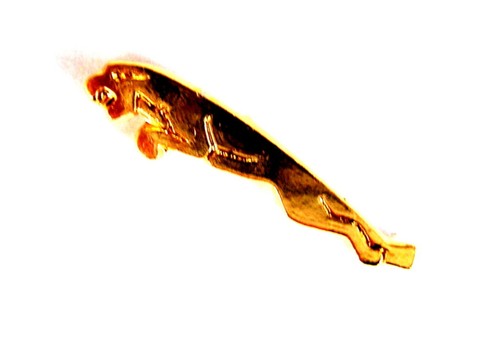 Auto pin pins jaguar - /,