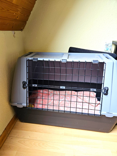 Kunststoff hundetransportbox - kunststoff,