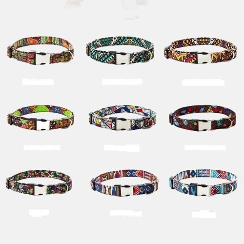 Neues hundehalsband mit - hundehalsband,