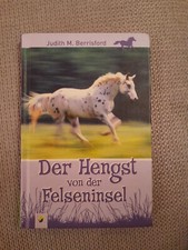 Buch - Der Hengst von der Felseninsel - Berrisford