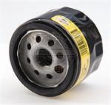 Genuine Briggs & Stratton