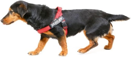 Julius 16idc r - julius-k9,, 16idc-m-r-2015