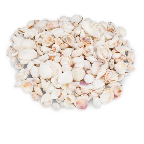 Muschelmix weiß 6 cm - muschelmix, kg