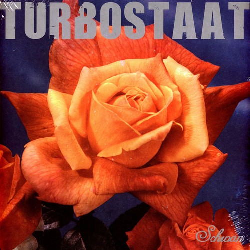 Turbostaat schwan vinyl lp - turbostaat,
