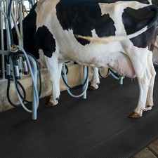 Stallmatte für Tierhaltung -