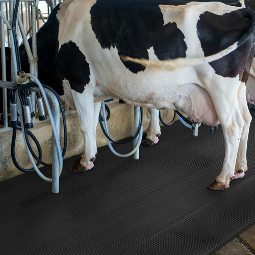 Stallmatte für tierhaltung - stallmatte,