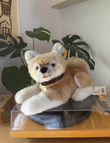Steiff 079726 akita junghund - akita,